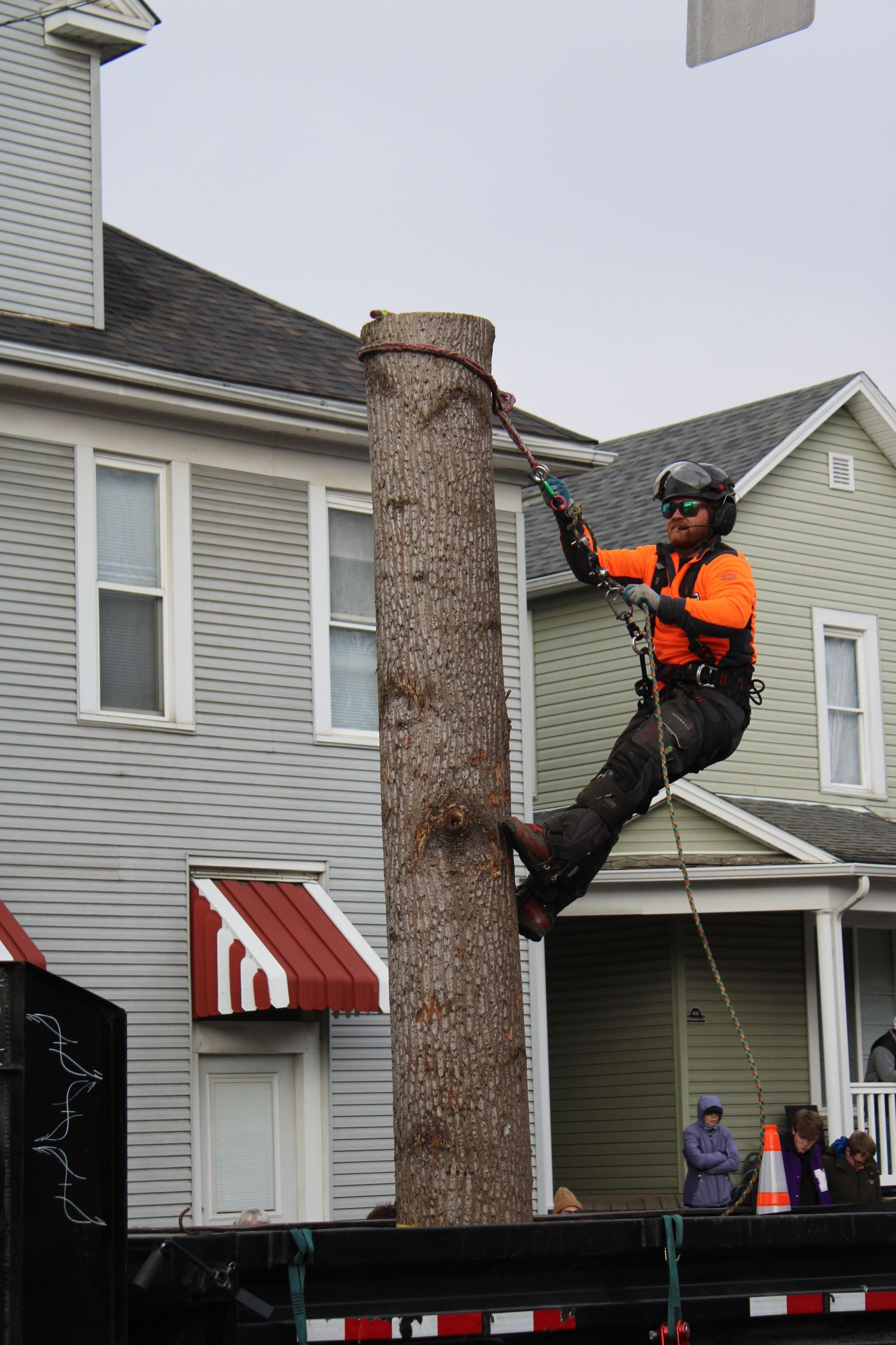 Climber removing a tree beside a Charlotte home