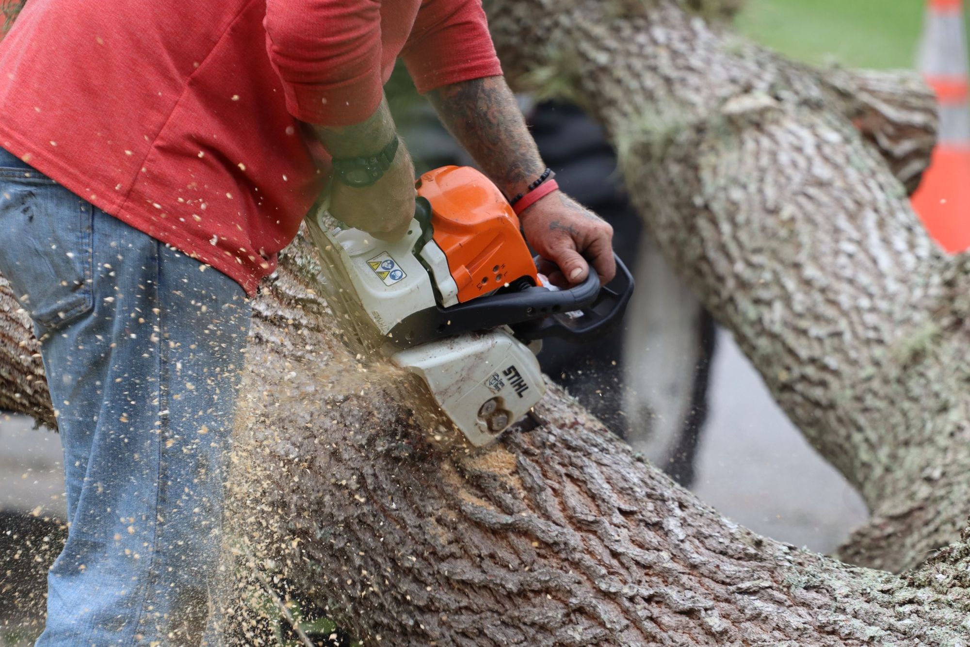 Cabling & Bracing in Charlotte NC