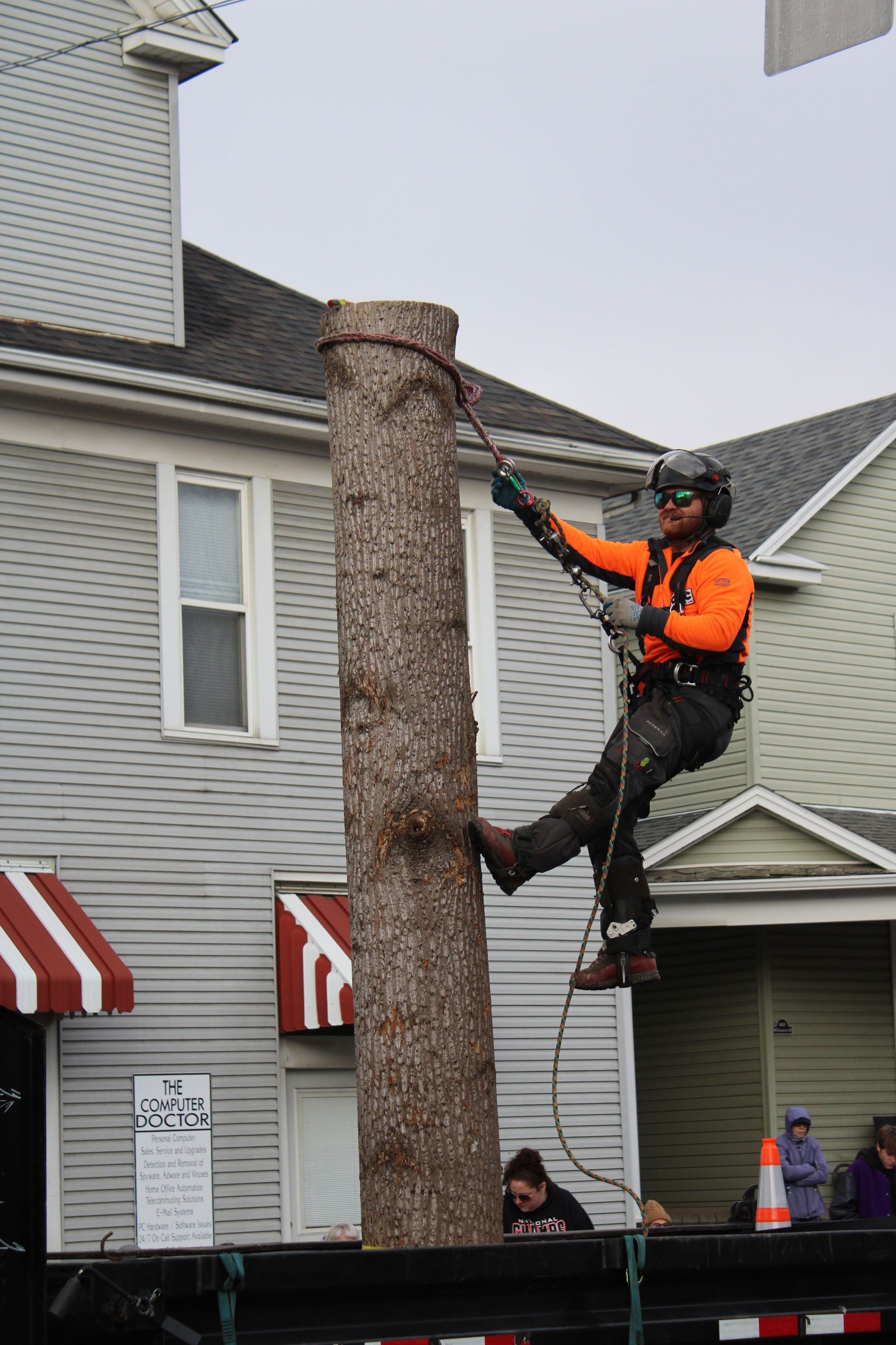 Highline climbing arborist tied in and cutting a tree beside a Charlotte home