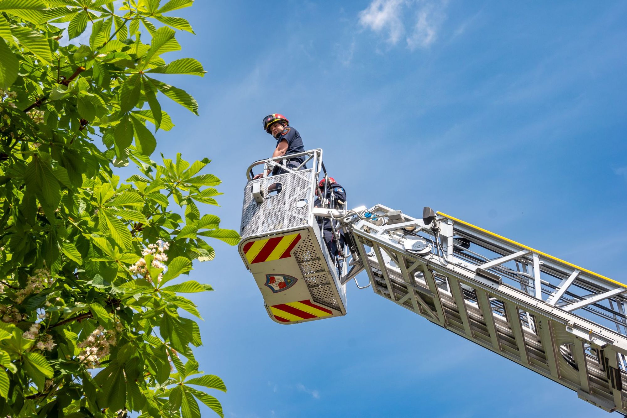 Crane-Assisted Removal in Charlotte NC