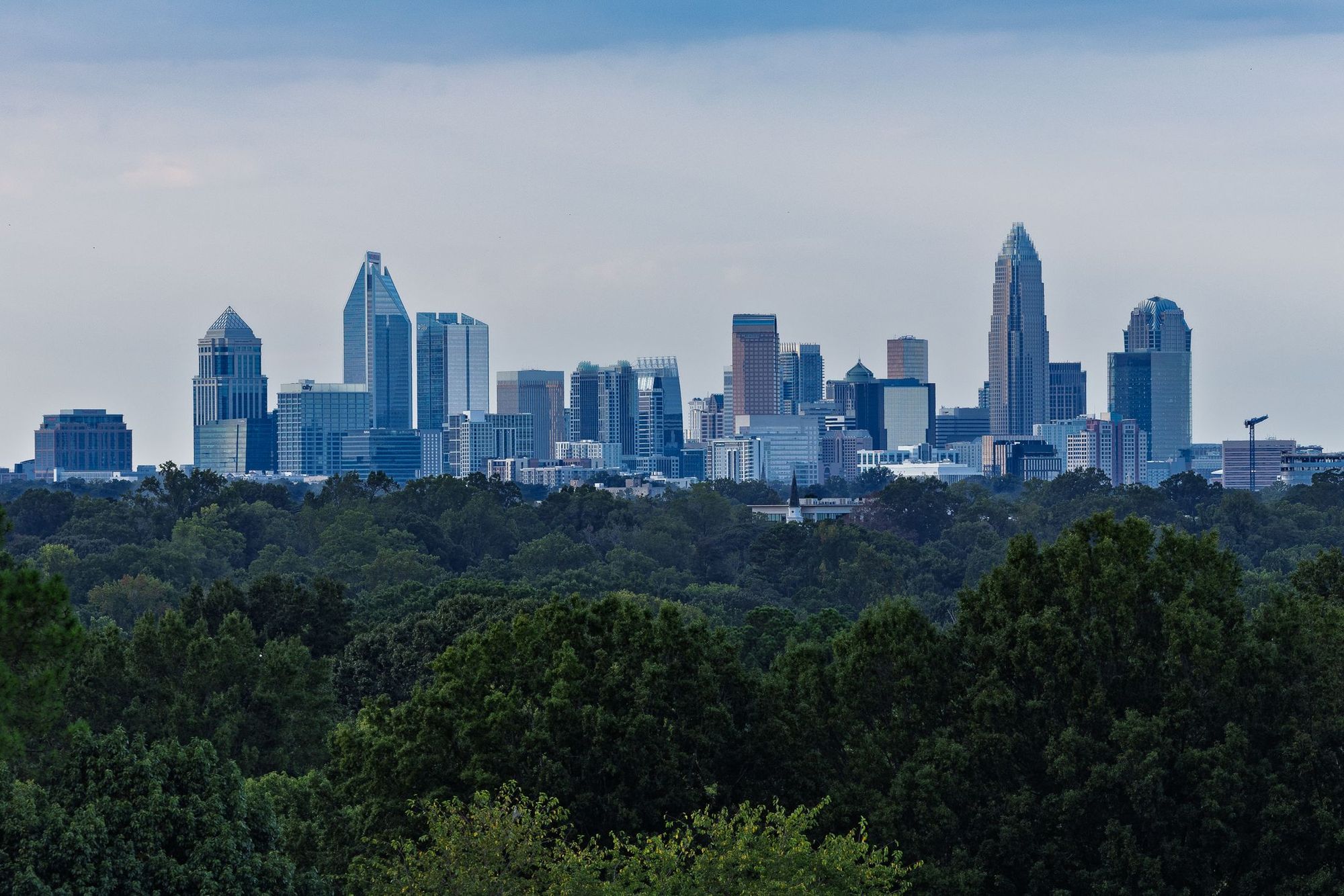 Charlotte skyline above the tree canopy