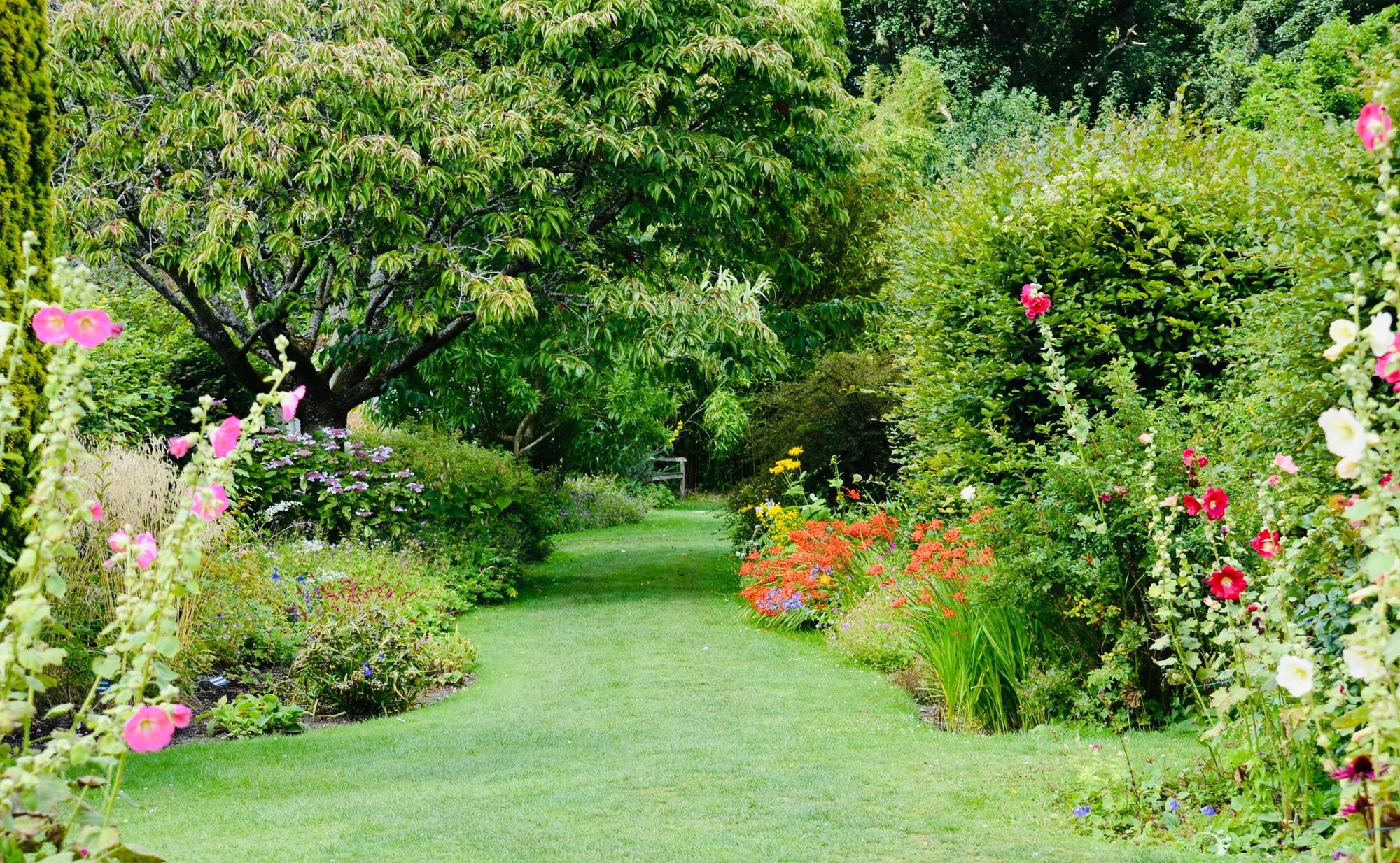Summer garden path between flowering borders
