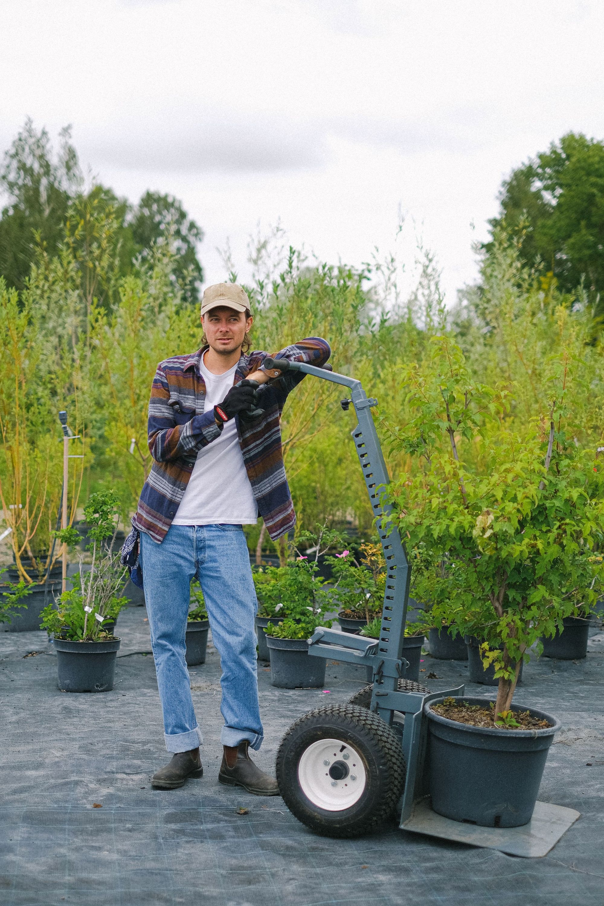 Landscaper wheeling a cart of potted shrubs