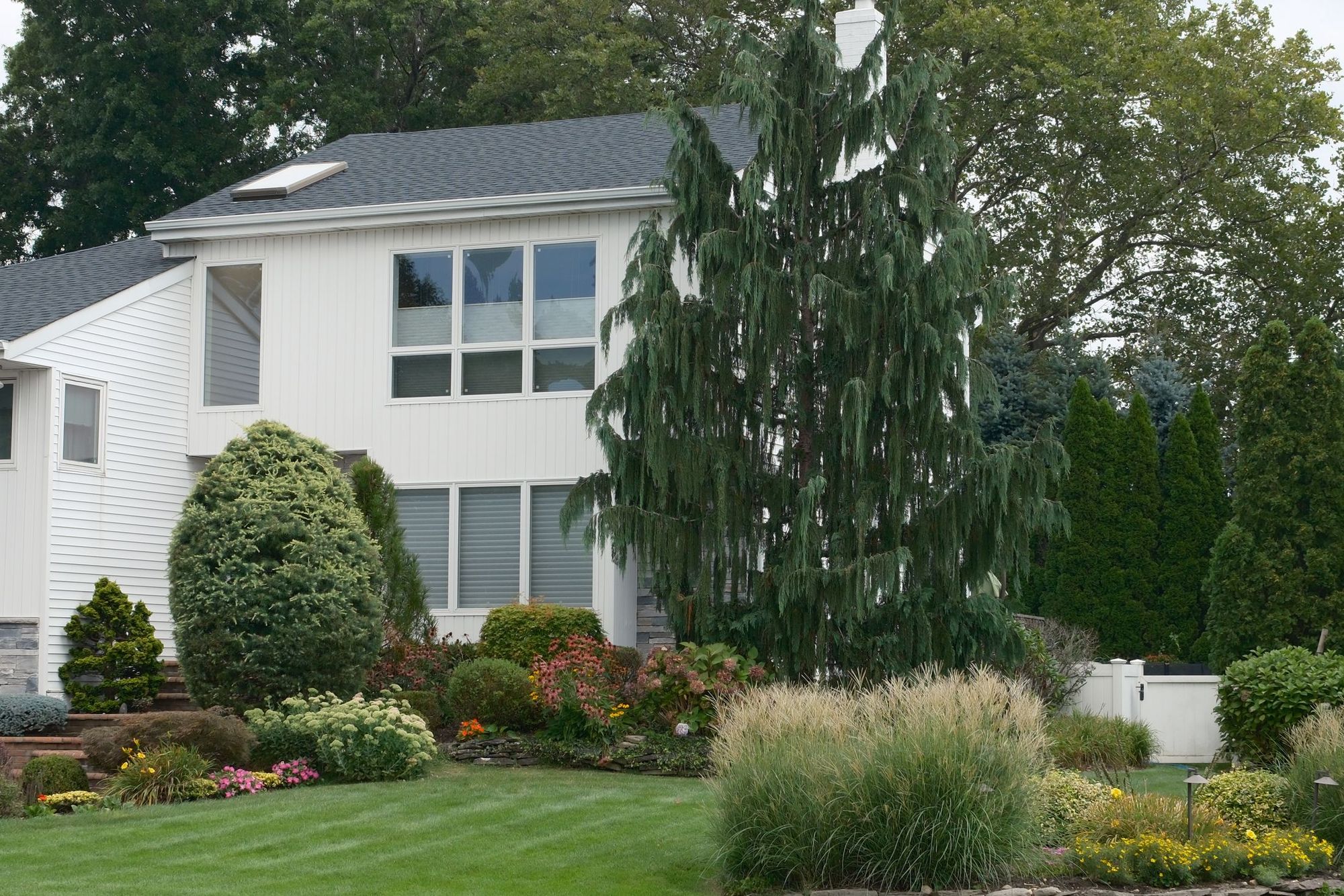 Front garden with layered shrubs and flowering beds along a lawn