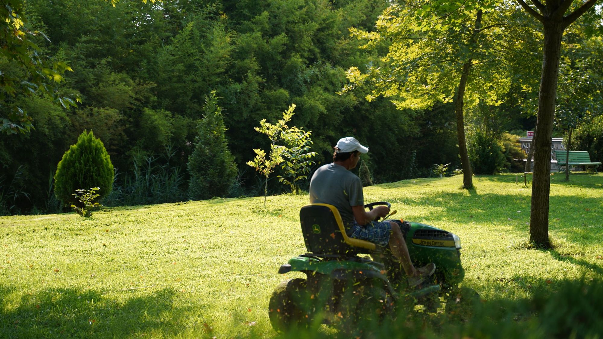 Riding mower cutting a lawn under trees