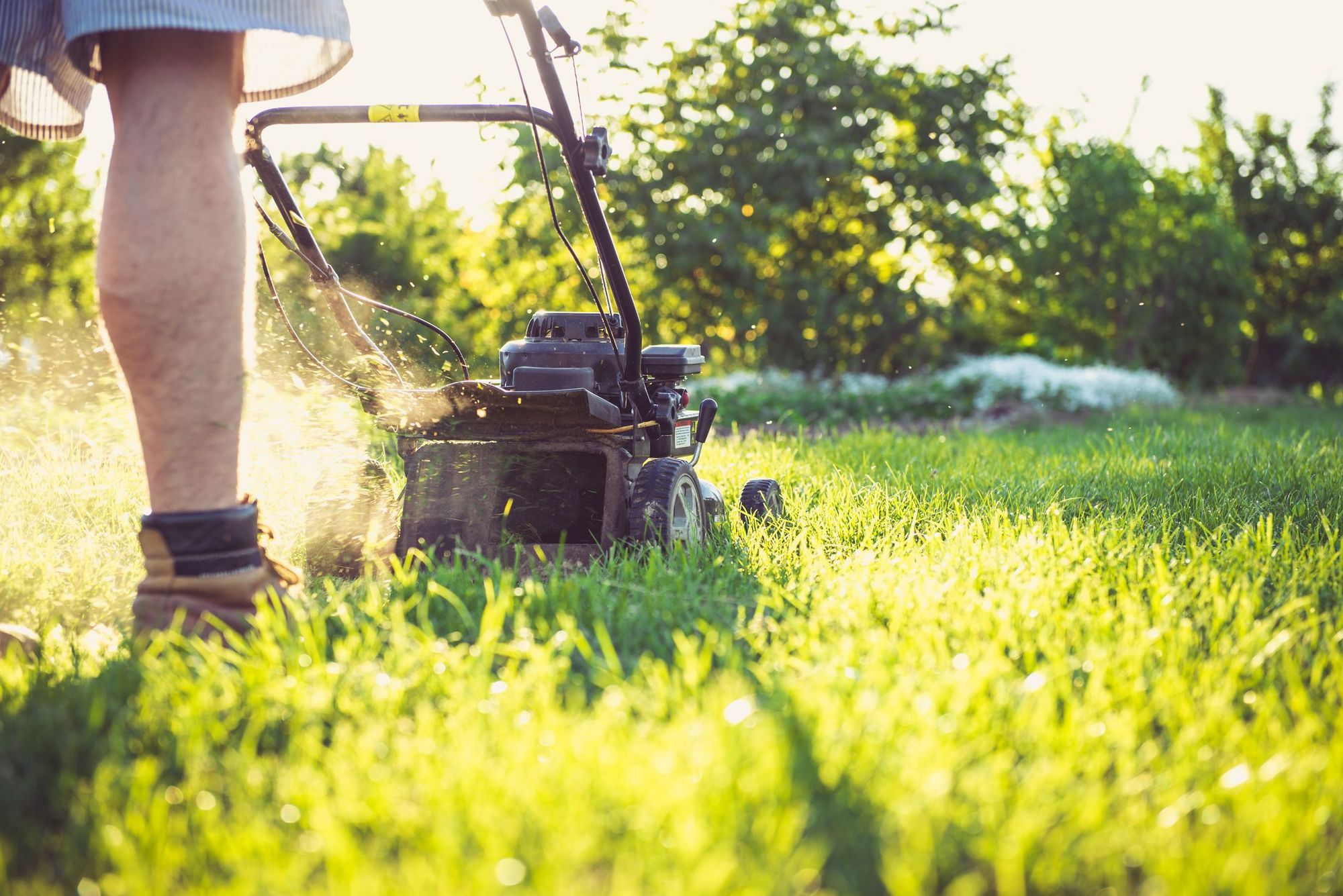Mower cutting a lawn in low evening light
