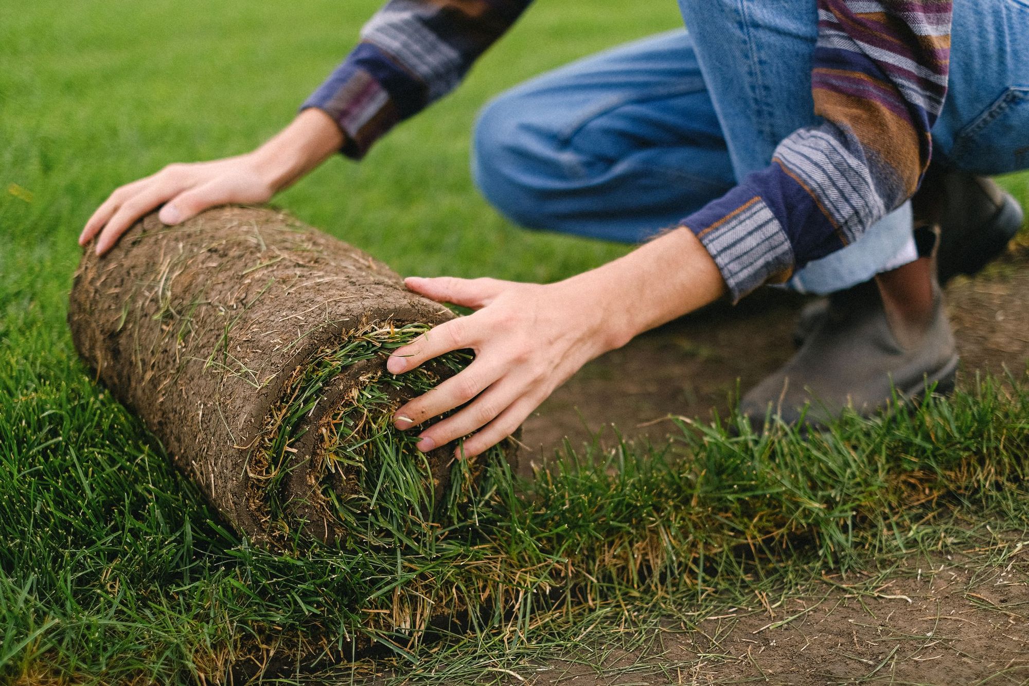 Landscaper unrolling fresh sod onto graded soil