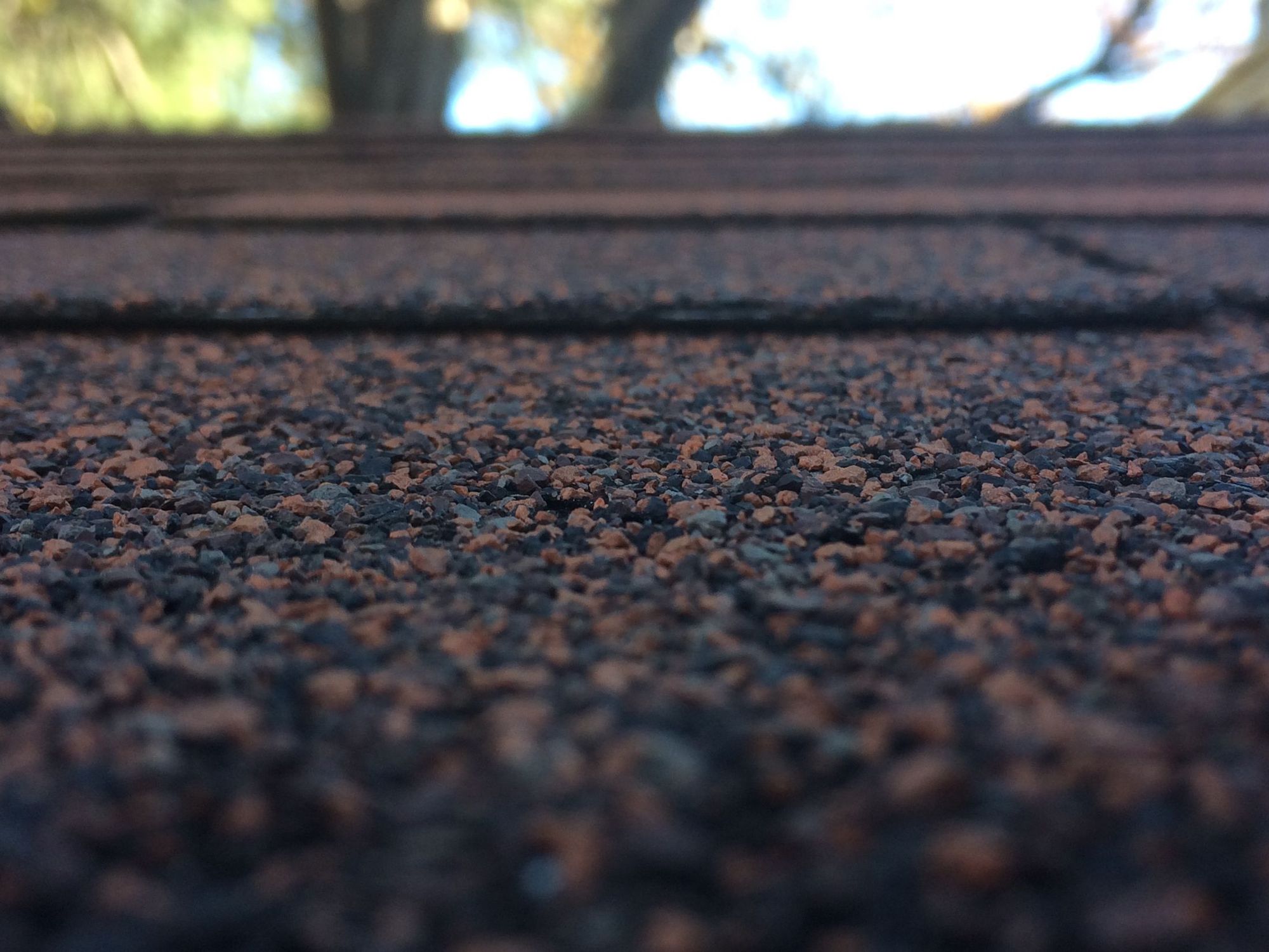 Field shingles: granules and nail pops